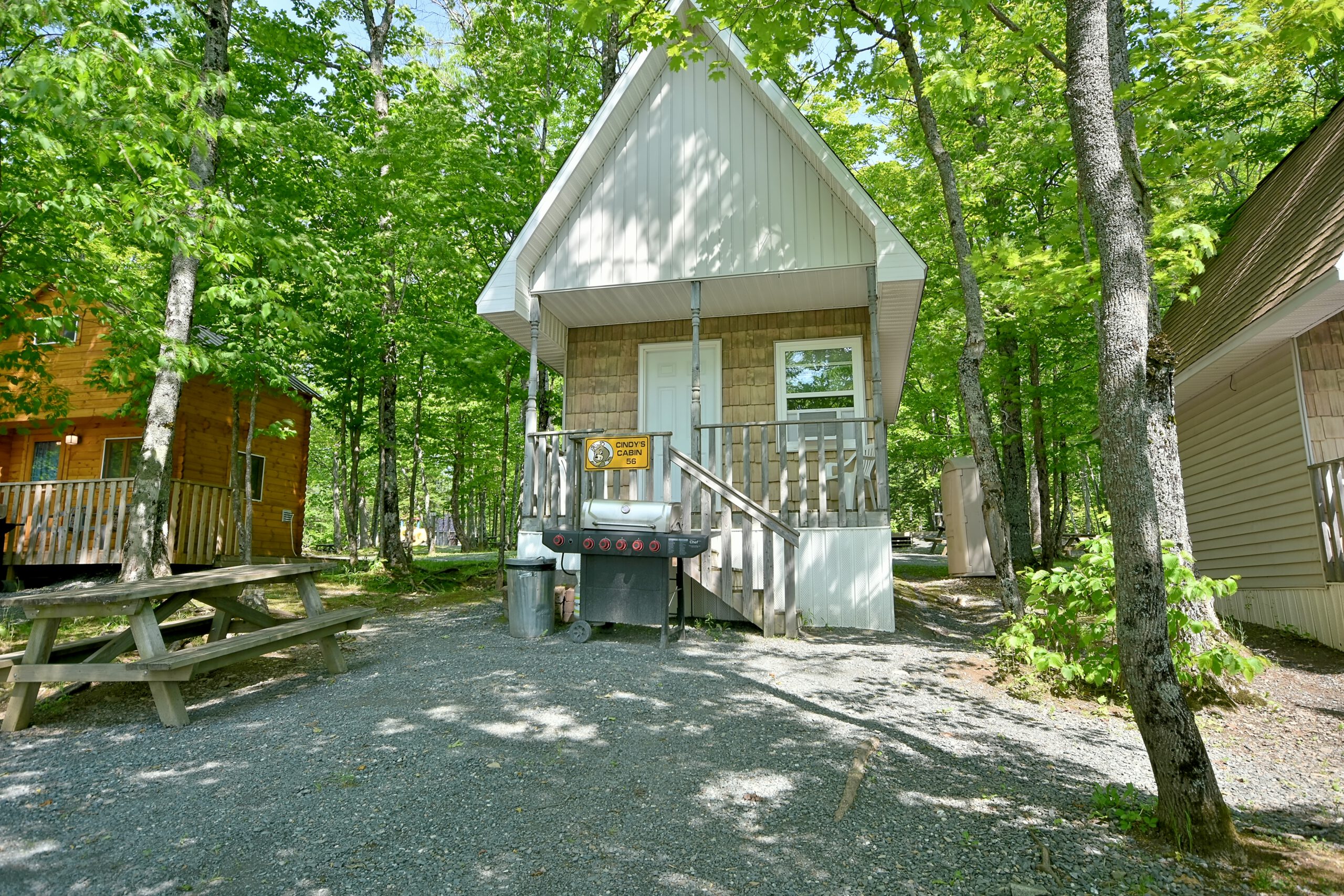 Cindy Bear Rustic Camping Cabins